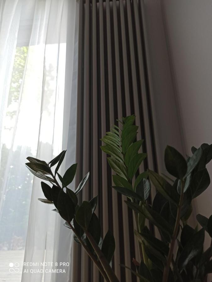 New Big Loft Apartments Jurmala With Free Secured Parking المظهر الخارجي الصورة