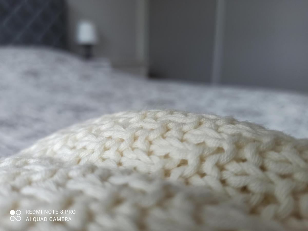 New Big Loft Apartments Jurmala With Free Secured Parking المظهر الخارجي الصورة